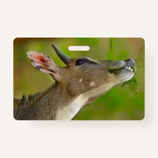 Tarjeta De Identificación Custom deer