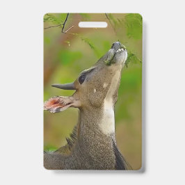 Tarjeta De Identificación Custom deer