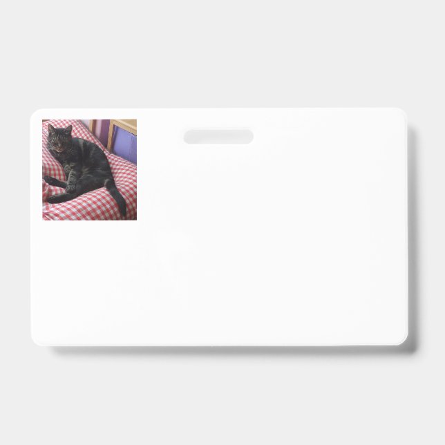 Tarjeta De Identificación Cute Dave Insignia de Identidad Horizontal (Parte frontal)