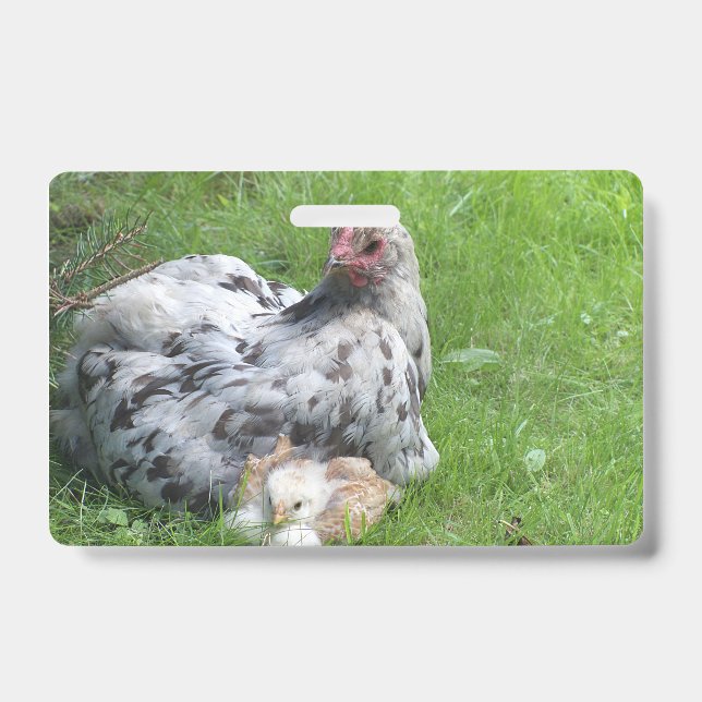 Tarjeta De Identificación cute, farm, animals, kids, farm animals, pet, (Anverso)