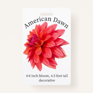 Tarjeta de identificación Dawn Dahlia