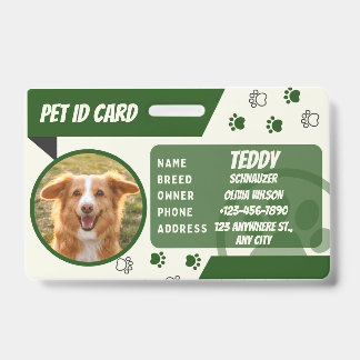 Tarjeta de identificación de billetera con foto de