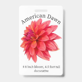 Tarjeta de identificación de dalia del amanecer am