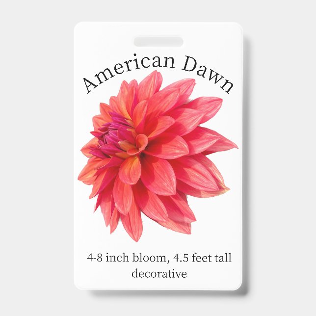 Tarjeta de identificación de dalia del amanecer am (Parte frontal)