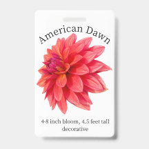 Tarjeta de identificación de dalia del amanecer am
