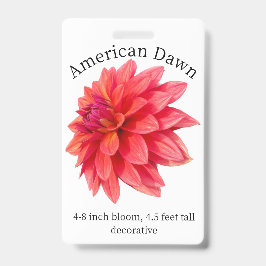 Tarjeta de identificación de dalia del amanecer am