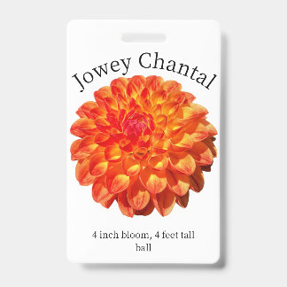 Tarjeta de identificación de dalia Jowey Chantal