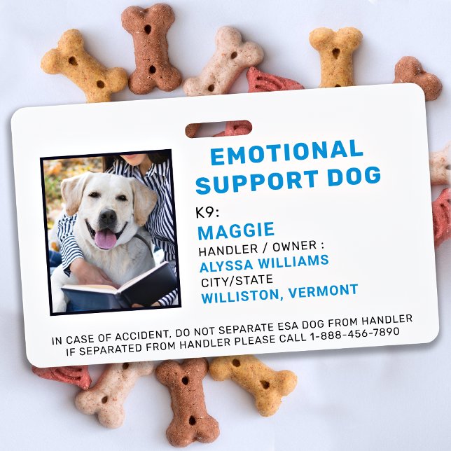 Tarjeta de identificación de foto de perro de apoy (Subido por el creador)