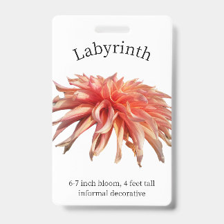 Tarjeta de identificación de Labyrinth Dahlia