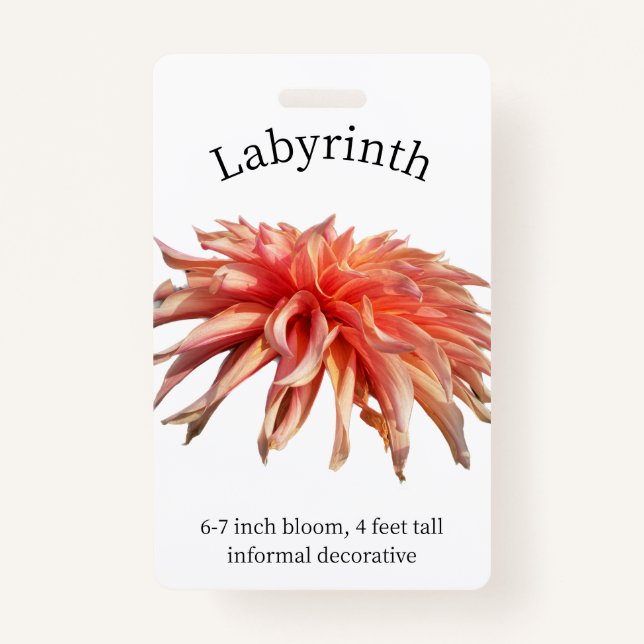 Tarjeta de identificación de Labyrinth Dahlia (Anverso)