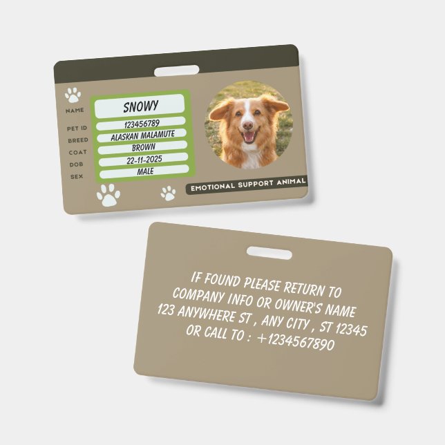 Tarjeta de identificación de mascota con foto de p (Parte frontal y trasera)