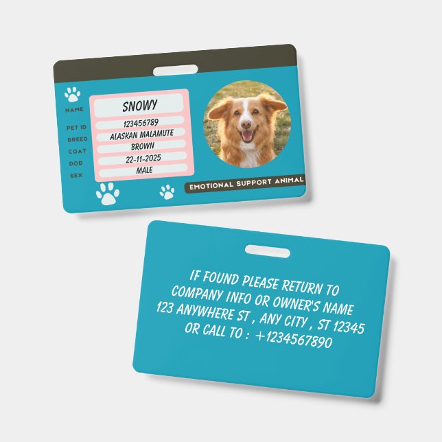 Tarjeta de identificación de mascota con foto de p (Parte frontal y trasera)