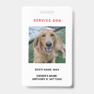 Tarjeta de identificación de perro de servicio