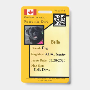 Tarjeta de identificación de perro de servicio ama