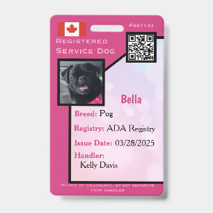 Tarjeta de identificación de perro de servicio ros