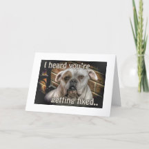 tarjeta de identificación de perros