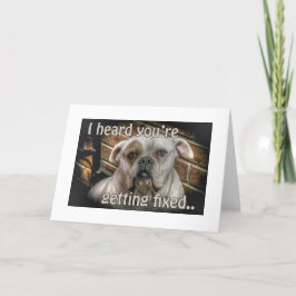 tarjeta de identificación de perros