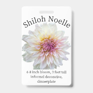 Tarjeta de identificación de Shiloh Noelle Dahlia
