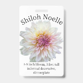 Tarjeta de identificación de Shiloh Noelle Dahlia