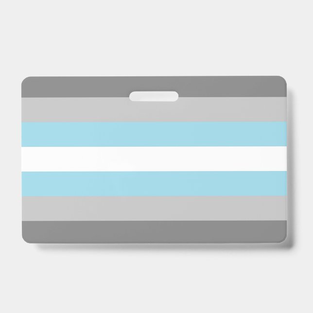 Tarjeta De Identificación DemiBoy Flag (Anverso)