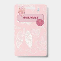 Diseño Estético de Anatomía Rosa para Estudiantes