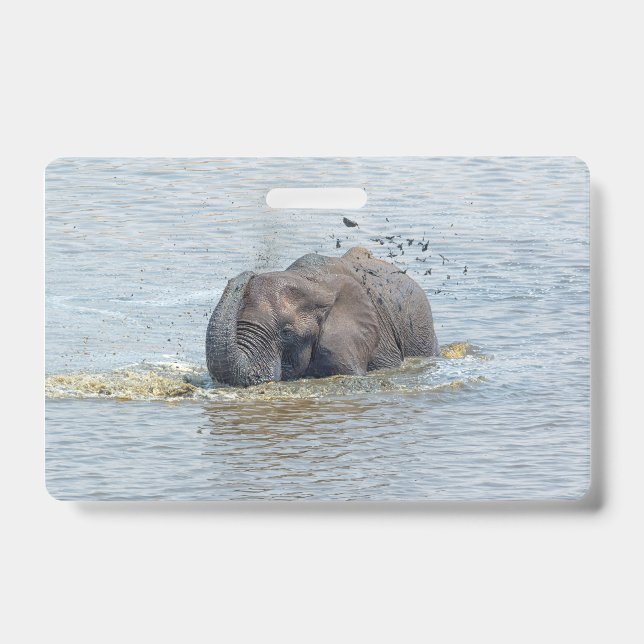 Tarjeta De Identificación Elefante de baño (Parte frontal)