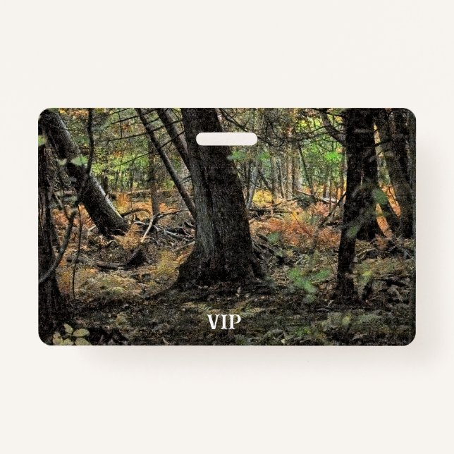 Tarjeta De Identificación Escenario forestal de otoño (Anverso)