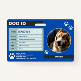 Tarjeta De Identificación Etiqueta de identificación de perro moderno verde 