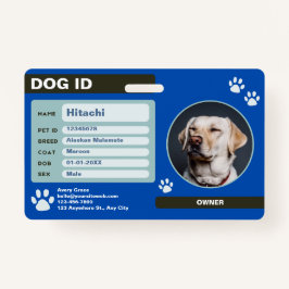 Tarjeta De Identificación Etiqueta moderna de identificación de perro Person