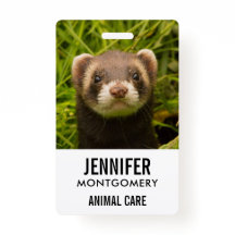 Ferrete marrón en la hierba