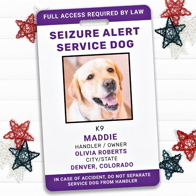 Tarjeta De Identificación Foto de identificación de perro de servicio person (Subido por el creador)