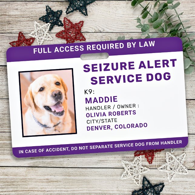 Tarjeta De Identificación Foto de identificación de perro de servicio person (Subido por el creador)