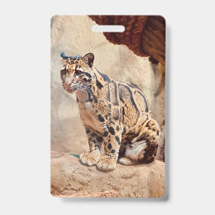 Tarjeta De Identificación foto de leopardo nebuloso naturaleza vida silvestr