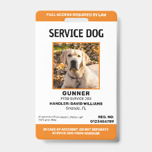 Tarjeta De Identificación Foto de perro de servicio naranja blanco personali