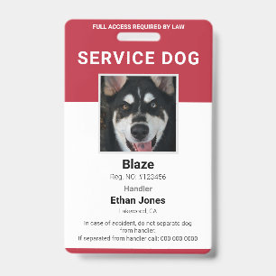 Tarjeta De Identificación Foto de perro de servicio rojo
