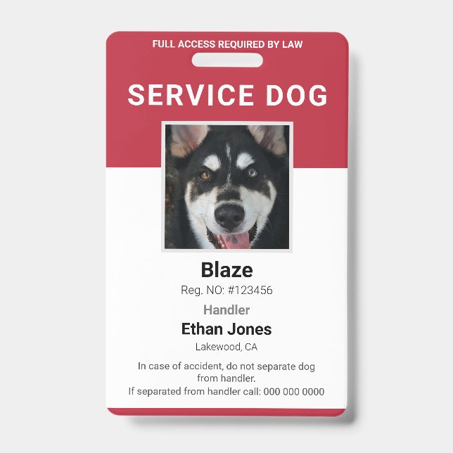 Tarjeta De Identificación Foto de perro de servicio rojo (Parte frontal)