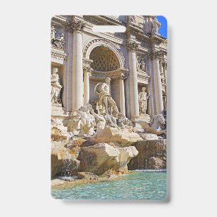 Tarjeta De Identificación Fuente de Trevi