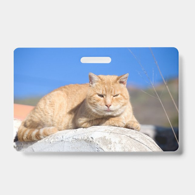 Tarjeta De Identificación Gato perezoso (Parte frontal)