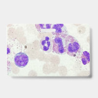 GRs GB Slide Microscopio Laboratorio de Hematologí
