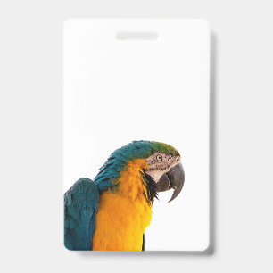 Tarjeta De Identificación Guacamayo azul