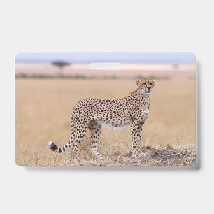 Tarjeta De Identificación Guepardo