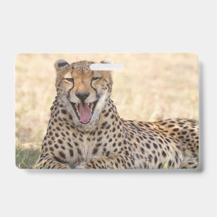 Tarjeta De Identificación Guepardo bostezando