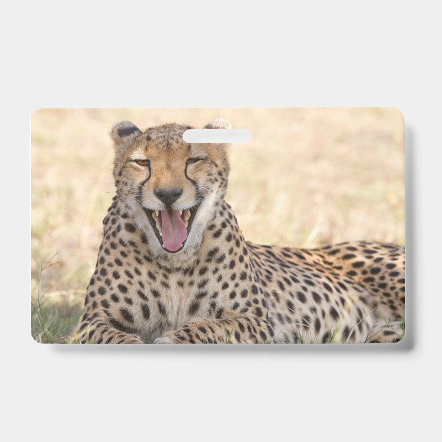 Tarjeta De Identificación Guepardo bostezando (Parte frontal)