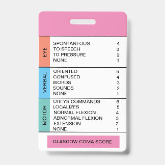 Tarjeta De Identificación Hoja de trucos de GCS/Conciencia para Badge Reel