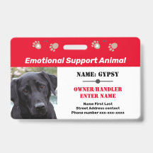 Identificación de animal de apoyo emocional con un