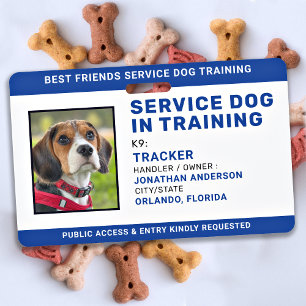 Tarjeta De Identificación Identificación de Perro de Servicio en Entrenamien