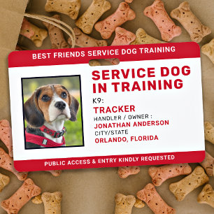 Tarjeta De Identificación Identificación de Perro de Servicio en Entrenamien