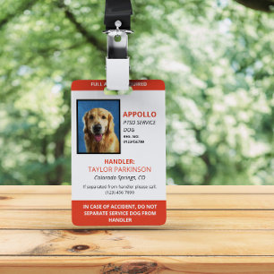Tarjeta De Identificación Identificación fotográfica de perro de servicio ro