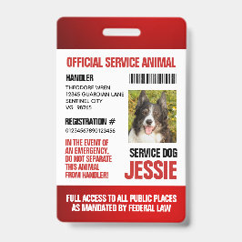 Tarjeta De Identificación Identificación oficial personalizada roja para ani