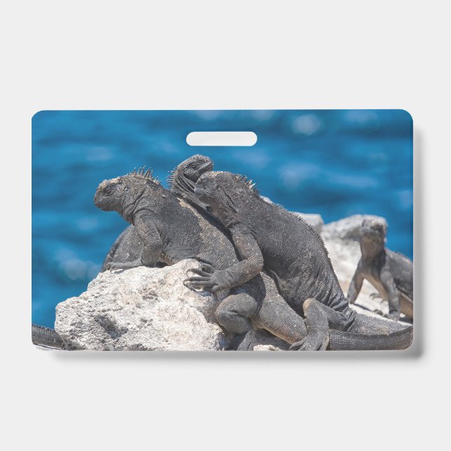Tarjeta De Identificación Iguana marina (Parte frontal)